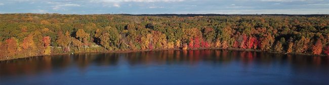 Woollam Nature Preserve